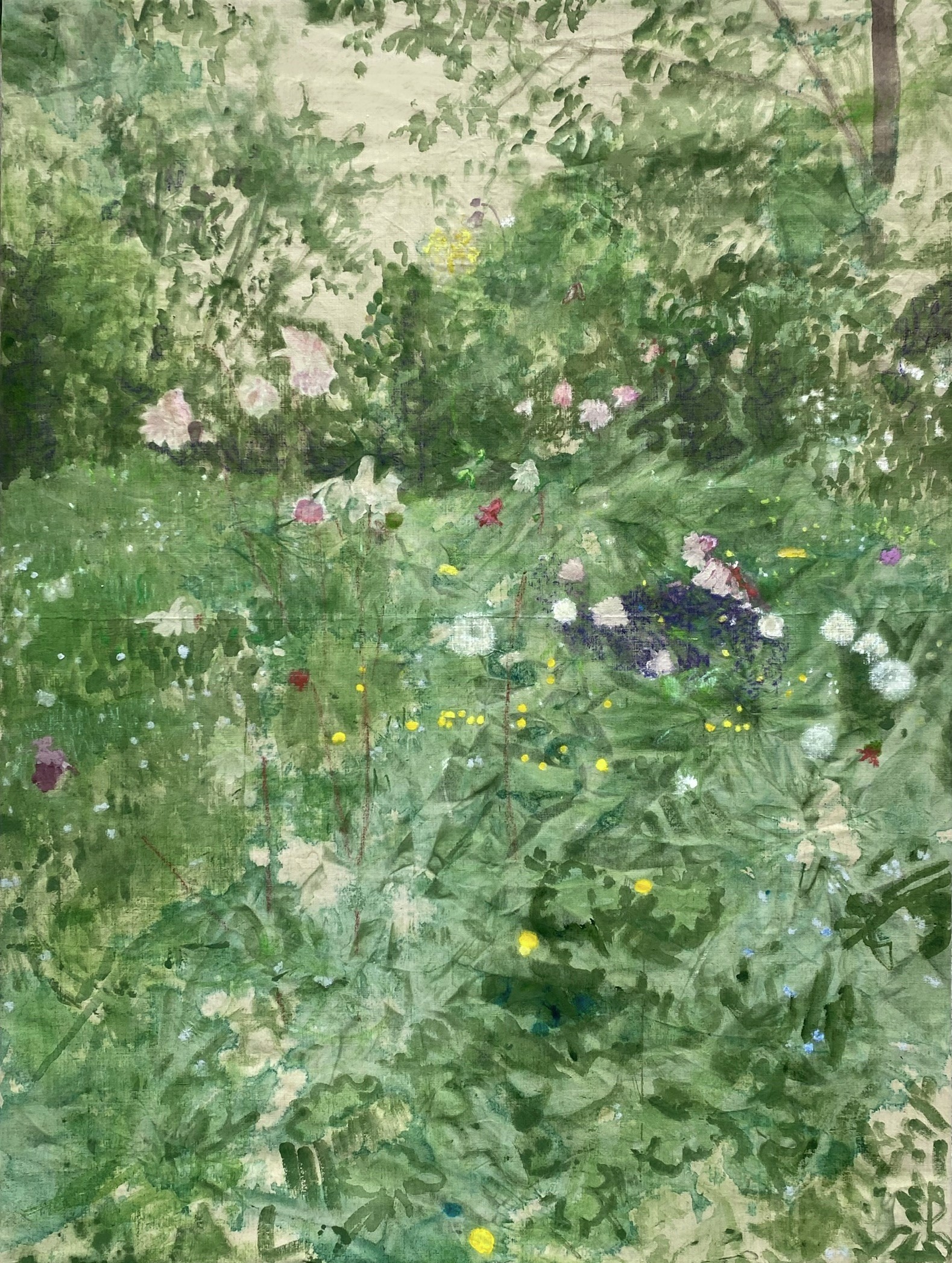 May Flowers